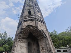 -上海佘山国家森林公园天马山园