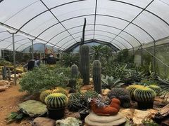 -维乐口腔医院(福清院)