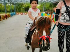 -渔岛海洋度假区