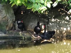 -昆明动物园