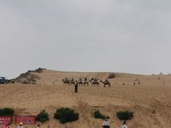 -玉龙沙湖景区
