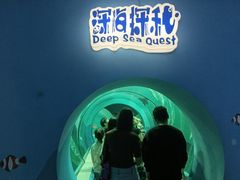 -苏州海洋馆