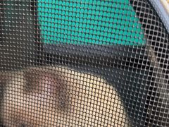 -乐琪宠物医院·犬猫专科·骨外科·急重症