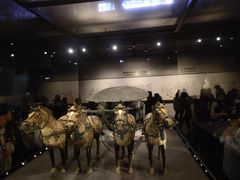 -秦始皇帝陵博物院-丽山园