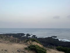 -涉地可支
