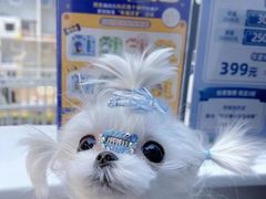 -萌兽医馆·眼科·异宠专科(三里屯店)