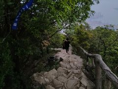 -梧桐山风景名胜区