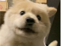 -85度C(南京中山南店)