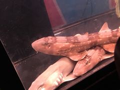 -五缘湾悦都汇购物中心