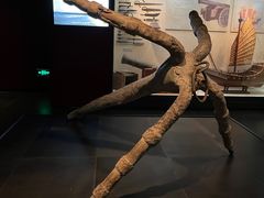 -上海中国航海博物馆