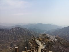 -大岭沟猕猴桃谷风景区