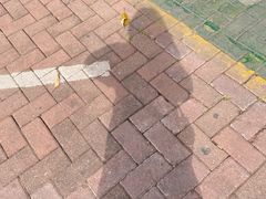 -火炉山森林公园