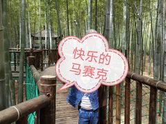 -陶祖圣境风景区