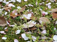 -苏州河梦清园环保主题公园