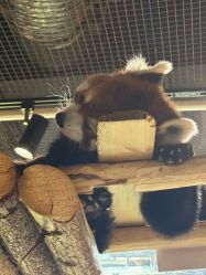 -Zoolung Zoolung动物主题公园(海信广场店)