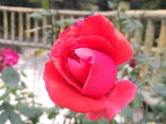 -韶关经律论国际酒店温泉