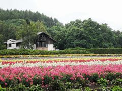 -富田农场