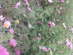 -任达丞国农庄(任达山庄店)