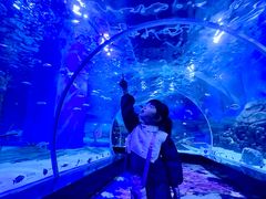 -顺德南宏海立方海洋公园