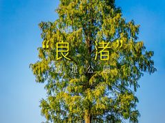 -良渚古城遗址公园
