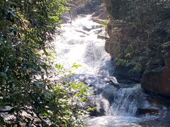 -广州市石门国家森林公园