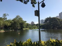 -晓港公园