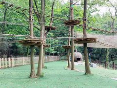 -WeLope紫金山探险公园