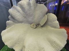 -游龙石文化科普馆