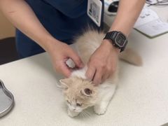 -瑞派康怡24h宠物医院·犬猫医疗中心·微创绝育(瑞景分院)