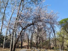 -元大都城垣遗址公园