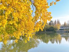 -玄武湖景区-情侣园游乐场