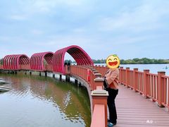 -芒洲湿地公园