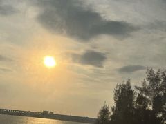 -宝安西湾红树林湿地公园