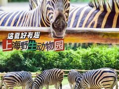 -上海野生动物园
