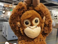 -宜家家居(四元桥商场店)