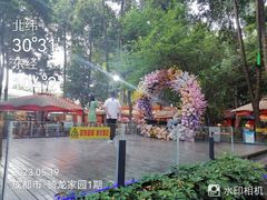 -二荆条·蜀鲜汇城市森林火锅