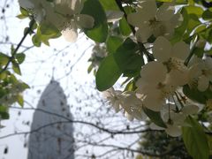 -小路易生煎馆(前进五路店)