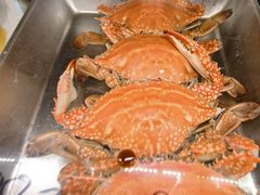 -日丰园海肠水饺·老字号大连海鲜(小平岛总店)