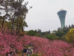 -狐尾山公园