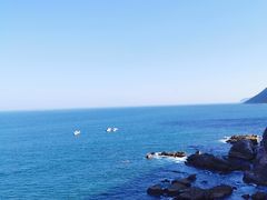 -花海间·即刻露营