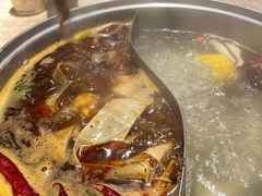 -呷哺呷哺(望京新世界店)