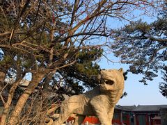 -妙峰山风景名胜区