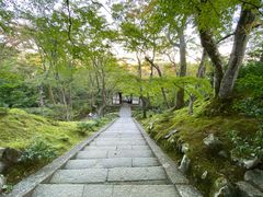 -常寂光寺