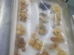 -闻酥园(青羊区文殊坊店)