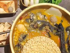 -Darling Queen·Mini·Live·House