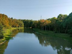 -上海海湾国家森林公园