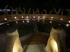 -天门沟九州驿站树上汤泉