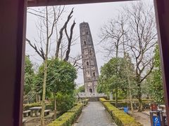 -上海佘山国家森林公园天马山园