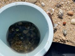 -花海间·即刻露营