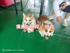 -长岛南北长山旅游景区